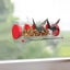 Window Suction Bird Feeder Transparent Hummingbird Foraging Device Outdoor Bi Carousel 5