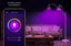 Kogan SmarterHome™ 9W/10W Colour & Warm/Cool White Smart Bulb B22, Wi-Fi, 4 Pack Carousel 3