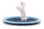 Pawever Pets Sprinkler Mat Large Carousel 1