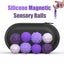 8PCS Magnetic Silicone Sensory Balls Worry Balls Autism Calming Fidgeting Toy Carousel 5