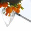 Fruit Picker Tool Carousel 9