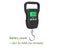 Portable Digital Weight Scale 60kg 10g Electronic Luggage Hanging Scale Carousel 1