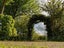 Garden Arch Archway NZ Clearance Carousel 9