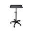 Salon Trolley Cart Hairdressing Hair Colouring Extension Tray Storage Spa Beauty Carousel 8