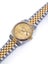 Rolex Oyster Perpetual Datejust 18ct Gold & Steel Diamond Mens Wristwatch 16233 Carousel 7