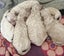 Beautiful Cavoodle Stud fully DNA tested Carousel 8