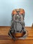 Macpac Koala Child Carrier Backpack Carousel 3