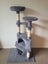 Cat Scratching Tower Carousel 1