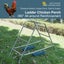 Ladder Chicken Perch with Feeding Troughs Multi-Level Wood Metal Climbing Rack Carousel 7