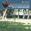 120cm Tall Chicken Perch Stand - Reinforced Metal Eucalyptus Wood Perch Carousel 5