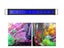 Fish Tank Aquarium Light NZ Clearance Carousel 8