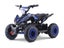Kids Mini Quad Bike 800W Electric Blue Carousel 3