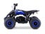 Kids Mini Quad Bike 800W Electric Blue Carousel 4