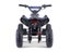 Kids Mini Quad Bike 800W Electric Blue Carousel 6