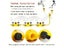 Automatic Rotating Water Pipe Set For Garden Lawn Sprinkler Carousel 3