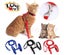Cat Harness, Cat Harness With Leash Escape-proof, Harness For Cats Puppy Harness Carousel 1