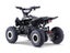 Kids Mini Quad Bike 800W Electric Black Carousel 5