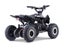 Kids Mini Quad Bike 800W Electric Black Carousel 7