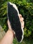 $1 reserve Greenstone Pounamu Big carving Slab/ block Carousel 2