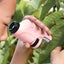 60-120x Pocket Microscope Battery Powered Handheld Mini Microscope with LED L Carousel 4