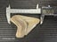 Megalodon Fossil Shark Tooth - 107mm / 4.2" Carousel 8