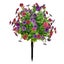 Loading Image 1 of 7