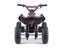 Kids Mini Quad Bike 800W Electric Red Carousel 6
