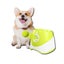 Automatic Dog Tennis Ball Launcher, Rechargeable Interactive Fetch Toy Carousel 4