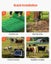 New Electric Fence Netting 1.27 x 50 m Portable Livestock Barrier with Posts Carousel 6