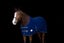 NZ Tack Fleece Show Rug Cooler Carousel 1