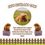 Highland Cow Stuffed Animal Highland Cow Plush Gift for Boys Girls Carousel 3