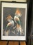Framed Diamond Painting- Exotic Birds 68.5cm x 48.5cm Carousel 1