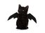 Cute Halloween Small Dogs Cat Costume Vampire Small Pet Cat Bat Wings Halloween Carousel 5