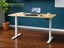 FlexiGO Electric Adjustable Standing Desk 140cm Carousel 1