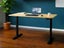 FlexiGO Electric Adjustable Standing Desk 140cm Carousel 2