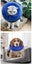 Dog Inflatable Collar Carousel 9