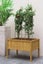 Garden Bed Raised Planter Low - Natural Cedar wood 78cm x 58cm x 56cm High Carousel 3