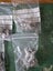 Foundry 28mm Egyptian chariots X 4 + 2 CAV Carousel 4