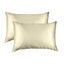 Silk Pillow Case Twin Pack Size: 51X76cm Sage Carousel 1