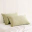 Silk Pillow Case Twin Pack Size: 51X76cm Sage Carousel 2