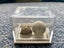 Pair of genuine musket balls, dating 1818-1853. North Island Find! Carousel 3