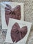 NEW! Jamie Kay 2 x Muslin Bows - twilight Carousel 1