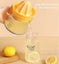 Manual Citrus Juicer with Rotating Crank Hand Press for Lemon Orange Carousel 7