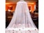 Elegant Hung Dome Mosquito Net For Double Bed Princess Girl Insect Net Round Carousel 3