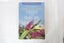 The Cultivation of New Zealand Trees and Shrubs - Lawrie Metcalf (SKU BK61) Carousel 1