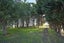 gallery view thumbnail
