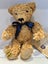 RARE Merrythought England Handmade Bear - Biscuit Edition 368 of 500 - AFTERPAY Carousel 5