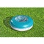 Bestway Chemical Floater 16cm - 58769 Carousel 7