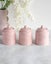 House of Florence Blush Pink Kitchen Canisters Set of 3 Storage Carousel 1