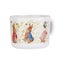 Peter Rabbit 5 Piece Dinner Meal Set Carousel 7